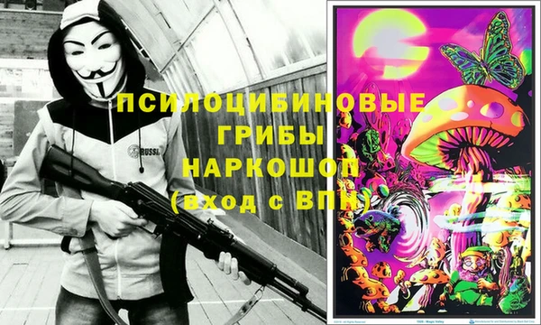 mdpv Верея